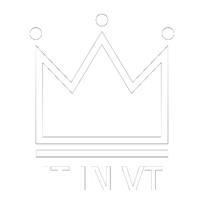 I.T. IN VT